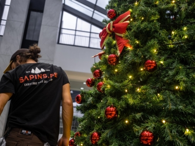 Créez la Magie dans vos Espaces Professionnels