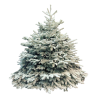 Echte Kerstboom set 210 tot 250cm