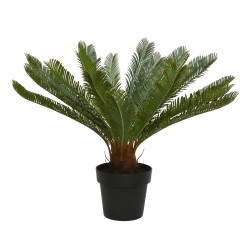 %shop-name%%product-name%%price% cycas