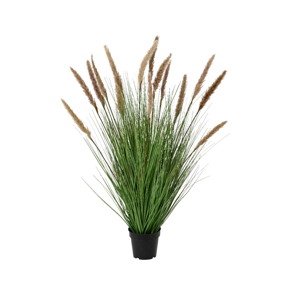 Herbe Pampa 50cm. Transformez votre espace de vie avec notre magnifique Herbe Pampa 50cm, conçue pour ressembler à l'élégante herbe de Pampas. Se tenant droite avec des tiges fines, cette pièce imite la beauté naturelle de l'herbe, apportant une touche de nature à l'intérieur sans aucun entretien. La plante présente des grappes de plumes duveteuses en haut, disponibles dans diverses nuances de beige et de brun clair. Cette palette de couleurs crée une atmosphère chaleureuse et accueillante qui complète tout style de décoration, du bohème au fermier, ou même aux esthétiques modernes. La texture douce et moelleuse des plumes contraste magnifiquement avec les tiges lisses et rigides fabriquées à partir de matériaux synthétiques durables. Cette plante décorative sans entretien est parfaite pour ceux qui apprécient la beauté sans les tracas. Vous pouvez la placer dans votre salon ou votre entrée pour un point focal accrocheur ou l'incorporer dans des espaces commerciaux pour un charme supplémentaire. Sa hauteur considérable garantit qu'elle aura un impact notable où que vous choisissiez de l'exposer. Fabriquée à partir de matériaux de haute qualité, cette plante artificielle conservera son apparence éblouissante au fil du temps—aucun arrosage ni lumière du soleil requis ! Dites adieu aux plantes flétries et aux couleurs fanées, notre réplique d'herbe de Pampas offre longévité et beauté durable. Ajoutez une touche d'élégance à votre décoration intérieure avec cette pièce polyvalente de Sapins BE. Que vous cherchiez à améliorer votre espace personnel ou à créer une atmosphère accueillante dans un cadre professionnel, notre plante décorative artificielle est sûre d'impressionner tout en nécessitant un entretien minimal.