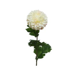 White dahlia on stem