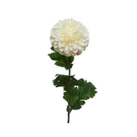 White dahlia on stem