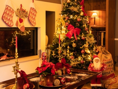 Payez en ligne votre sapin et vos décorations de Noël avec des éco-chèques